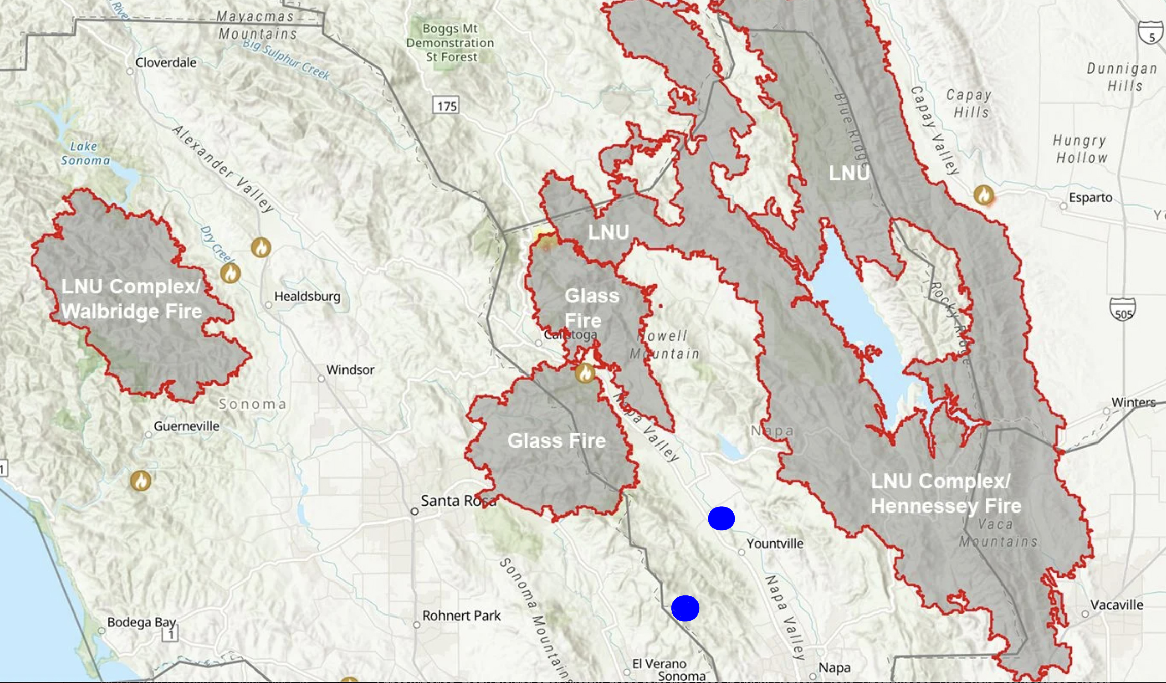 The Great Survivors of the 2020 Napa Fires